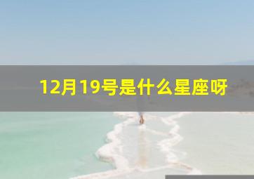 12月19号是什么星座呀