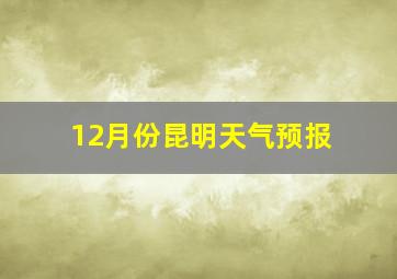 12月份昆明天气预报