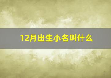 12月出生小名叫什么