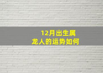 12月出生属龙人的运势如何