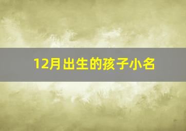 12月出生的孩子小名