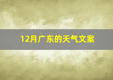 12月广东的天气文案