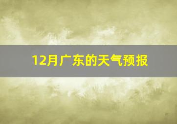 12月广东的天气预报