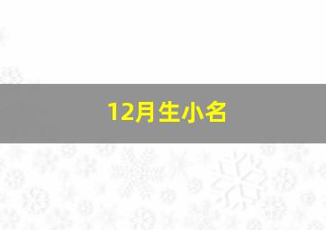 12月生小名