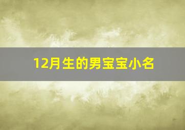 12月生的男宝宝小名