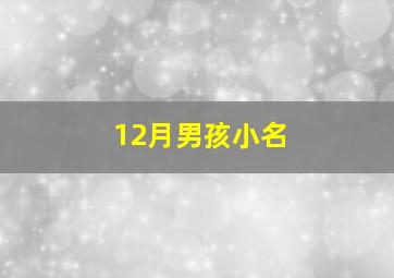 12月男孩小名