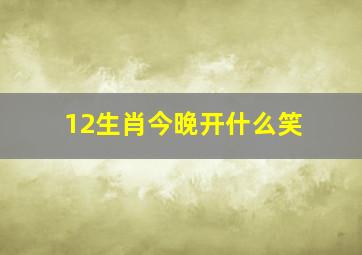 12生肖今晚开什么笑