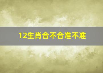 12生肖合不合准不准