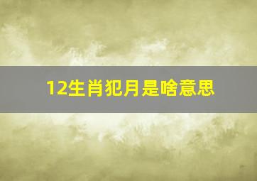 12生肖犯月是啥意思