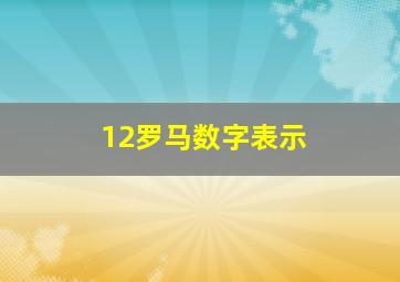 12罗马数字表示