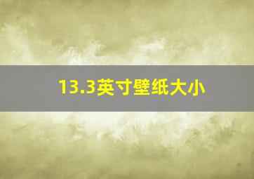 13.3英寸壁纸大小