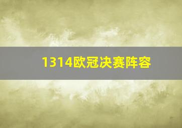 1314欧冠决赛阵容