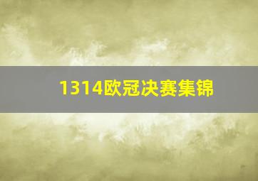 1314欧冠决赛集锦