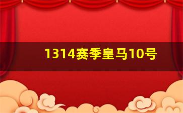 1314赛季皇马10号