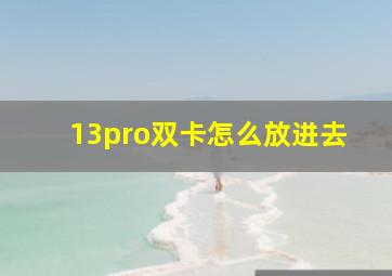 13pro双卡怎么放进去