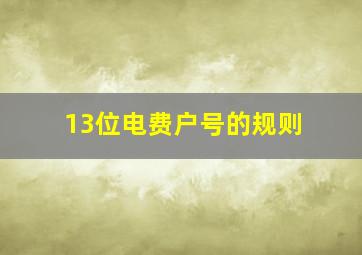 13位电费户号的规则