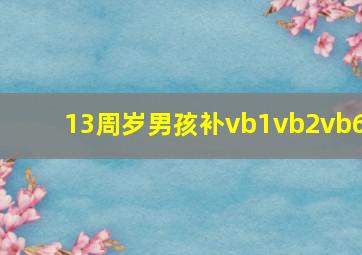 13周岁男孩补vb1vb2vb6