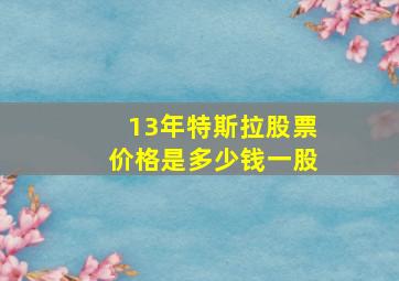 13年特斯拉股票价格是多少钱一股