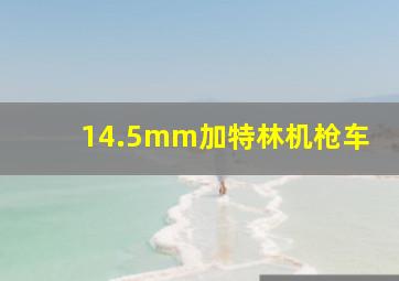 14.5mm加特林机枪车