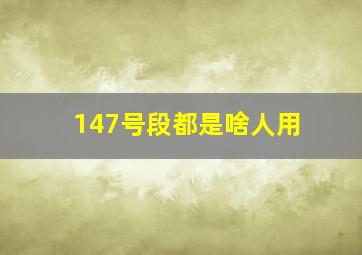 147号段都是啥人用