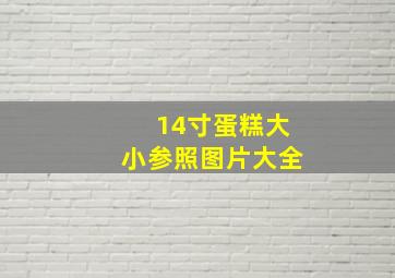 14寸蛋糕大小参照图片大全