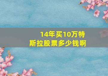 14年买10万特斯拉股票多少钱啊