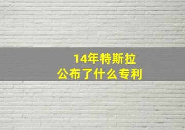 14年特斯拉公布了什么专利