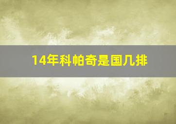 14年科帕奇是国几排