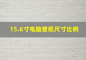 15.6寸电脑壁纸尺寸比例