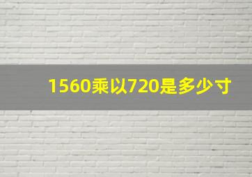 1560乘以720是多少寸