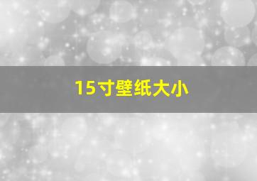 15寸壁纸大小