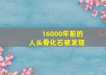 16000年前的人头骨化石被发现