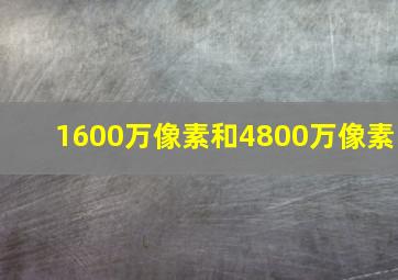 1600万像素和4800万像素