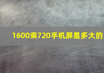 1600乘720手机屏是多大的