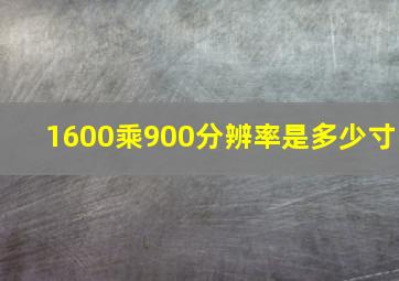 1600乘900分辨率是多少寸