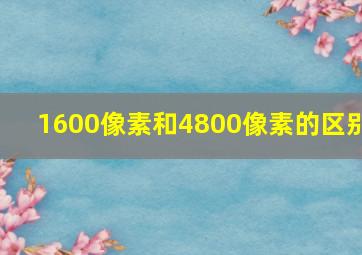 1600像素和4800像素的区别