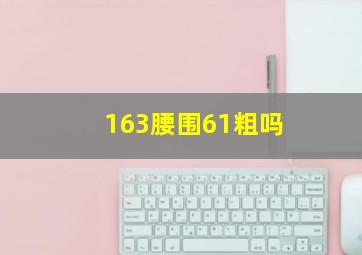 163腰围61粗吗