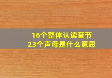 16个整体认读音节23个声母是什么意思