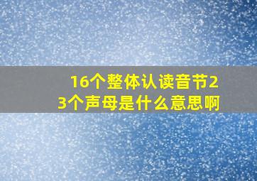 16个整体认读音节23个声母是什么意思啊