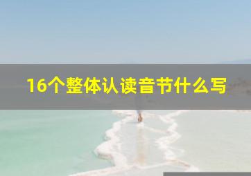 16个整体认读音节什么写