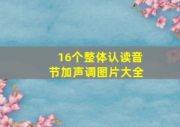 16个整体认读音节加声调图片大全