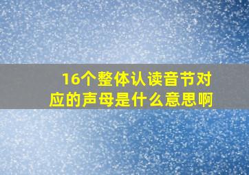 16个整体认读音节对应的声母是什么意思啊