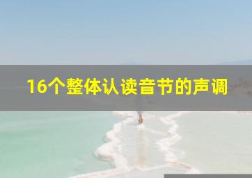 16个整体认读音节的声调