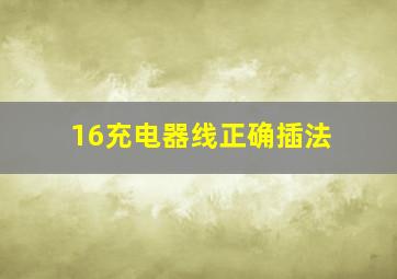 16充电器线正确插法