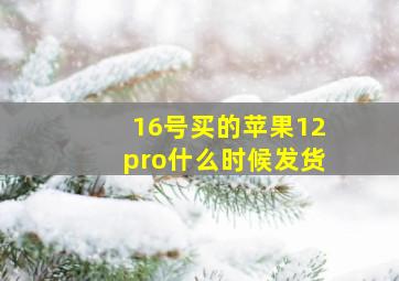 16号买的苹果12pro什么时候发货