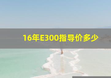 16年E300指导价多少