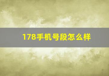 178手机号段怎么样