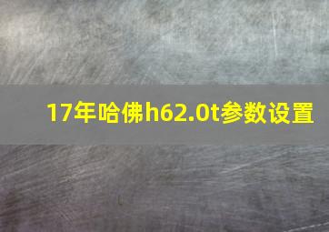 17年哈佛h62.0t参数设置