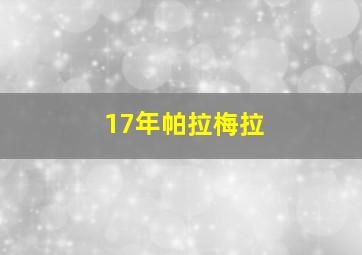 17年帕拉梅拉