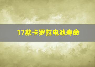 17款卡罗拉电池寿命